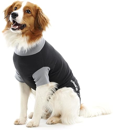 hund vertrgt kein nassfutter Nassfutter Wild fr Hunde  Monoprotein & getreidefrei