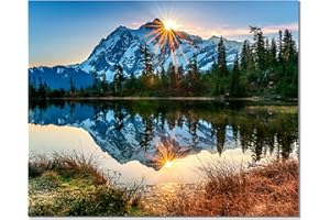 Bougimal Pintar por Numeros Adultos, DIY Pintura por números con Pinceles y Pinturas Decoraciones para el Hogar sin Marco de 40 X 50 cm