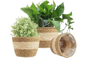 KAHEIGN 3 Piezas Pastos Marinos Cesta De Macetero, 3 Tamaño Tejido Maceta Bajo Techo Exteriores - Macetas Cubrir Cesta De Almacenamiento Contenedores De Plantas para La Decoración del Hogar (Beige)