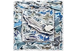 AUCEKO Confezione da 50 adesivi per aerei, impermeabili, in vinile, per computer portatile, auto, moto, bicicletta, skateboard, valigie, computer, graffiti