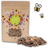100g Blumenwiese Samen für eine bunte Bienenweide - Farbenfrohe & nektarreiche Wildblumensamen Mischung für Bienen…