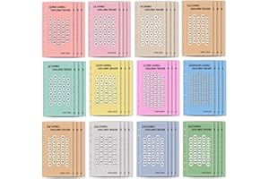 EHUIHUAN Set di 48 Fogli di Budget Planner Accessori, Organizer per Soldi Budget, Fogli Budget Spese A6, 6 Fori A6 Budget Sheet, Risparmia Il Denaro Challenge, Agenda Budget per Ufficio Casa e Scuola