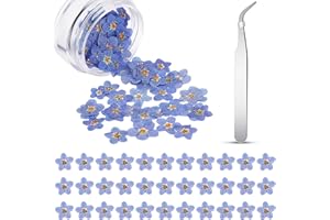 BBTO 80 Pcs Natural Forget Me Not Dried Flowers Don't Forget Me Pressed Flowers Blue Dry Real Dried Pressed Flowers with Elbow Tweezers For Resin Scrapbooking DIY Jewellery Card Candle Craft Nail Decor