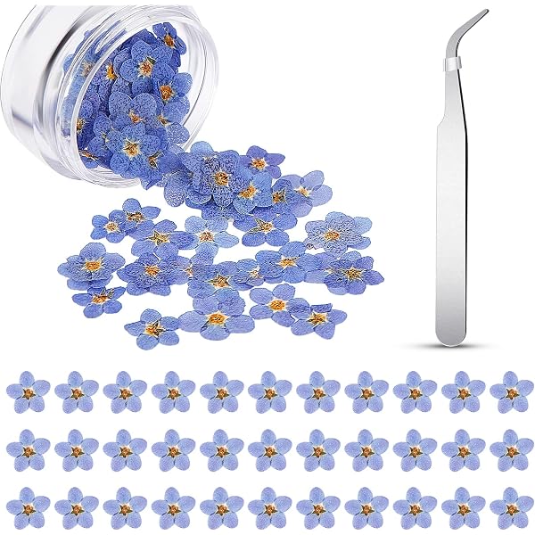 40 Fleurs Séchées Pensées Bleu Violet - Résine, DIY, Déco - Petites Fleurs Pressées Naturelles