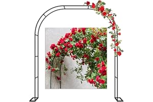 LYAH 120cm 140cm 180cm Arche De Jardin En Métal 200cm 240cm 280cm 350cm Arceau À Rosiers Robuste Pour Plantes Grimpante, Extérieure Mariage Cour Passerelle Décoration Tonnelle De Jardin ( Size : 200x230x40