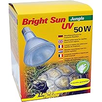 Lampada Lucky Reptile Bright Sun Ultra Desert 150W - Luce UVA/UVB Per Rettili Del Deserto, Attacco E27 - Foto 12
