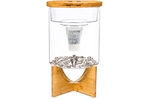 Santevia Glass Water Filtration System – Countertop Filter for Fluoride & Chlorine Removal | Adds Minerals, Balances pH | Home Water Purifier | Fluoride Filter | Alkaline