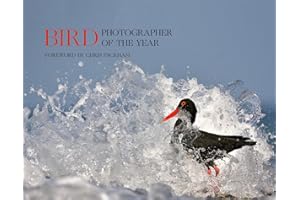 Bird Photographer of the Year: Collection 5