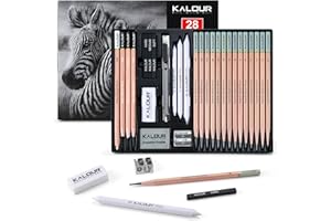 KALOUR Set di 28 matite da disegno professionale, 14 matite in grafite (14B – 5H), carboncini, gomme, temperamatite e ceppi – Kit completo per artisti e principianti