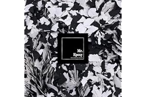 Mr. Epoxy Farbchips für Bodenbeschichtung (1kg, Mix Schwarz/Weiß) - Epoxidharz Deko Chips - Terrazzo Flakes (Farb Chips) für Garagenböden, Keller & Werkstatt