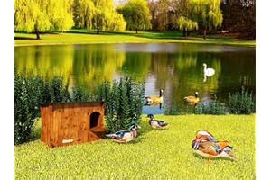 CUCCIOLOTTA Ducky Taglia M casetta/Nido per Anatre Ornamentali in Laminato HPL Anti acaro Rosso