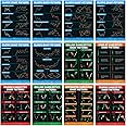 Saanvik Store - Candlestick Classic Charts Pattern Sheet with Double Tape, Stock Market Poster for Traders Pack of 12 (6 Classic Chart Patterns + 6 Candlestick Chart Patterns) Size 9 x 12 inch