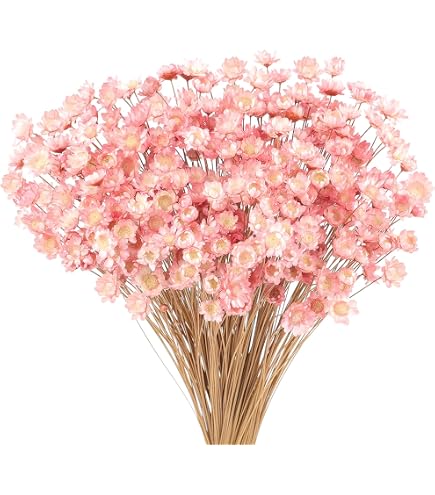 Pampa Séchées Naturelles Décoration, 115 Pièce Bouquet Fleurs Séchées Pampa Fleurs de Décoration