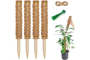 JINYJIA Pflanzstab,4 Stück 40CM Monstera Rankhilfe,Moosstab für Monstera,Rankhilfe Monstera,Moosstab Rankstäbe aus Natürlicher Kokosfaser,für Garten Kletterpflanzen Zimmerpflanzen