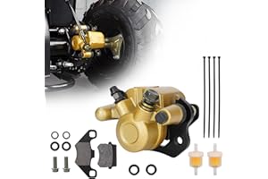 RUTU Bremssattel hinten links mit Bremsbelag und Heizölfilter für Twister 250 GT 150 cc Joyner SandViper 200 cc 250 cc Dune Buggy Quad ATV Roketa Kinroad Kandi Go-Kart-Teile – Gold