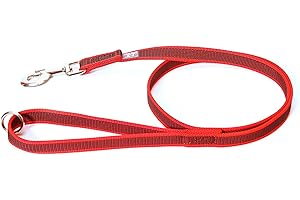 JULIUS K-9 Julius-K9 216GM-R-1,2HS Laisse antidérapante Color & Gray avec poignée et anneau en O, 20 mm x 1,2 m, Rouge-Gris