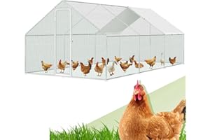 Randaco Poulailler XXL 3 x 6 x 2 m - En acier galvanisé - Enclos d'extérieur - Avec serrure et chiffon de couleur en polyéthylène étanche - Pour cage à poulet, volaille, petits animaux