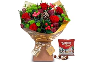 ALL OCCASIONS Festive Simplicity Hand Tied, Beautiful Fresh Flowers, Perfect for Christmas, Birthdays, Anniversaries and Thank You Gifts (Standard, Red).