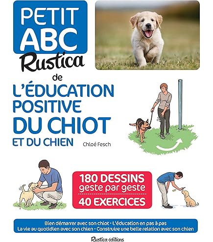 Borsa Addestramento Cane Philorn - Impermeabile Con Dispenser Sacchetti | Porta Snack, Ciotola E Clicker