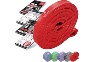 BEMAXX Resistance Band Heavy Strength, Pull Up Assist + Exercise Guide | Home Gym Equipment: Full Body Fitness Workout Rubber Loop, Chin Bar Assistance & Bodybuilding, Sports Gymnastics Training, Women Men