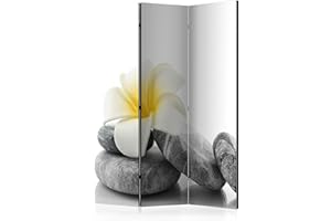 BIOMBO B&D XXL murando Biombo 135x172 cm de Impresion Bilateral en el Lienzo de TNT Decoracion Foto Biombo de Madera con Imagen Impresa Separador Grande Home Office b-B-0190-z-b