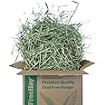 Lunnun Trading & Sales LTD Timothy Hay Premium Quality, Dust-Free, Green 100% Natural Timothy Hay for Rabbits, Guinea Pigs, Hamsters, and all Small Animals - 2.5 KG