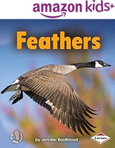 kindle best category lists