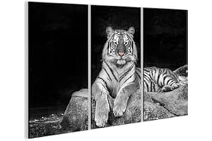 islandburner Cuadro Moderno en Lienzo Tigre acostado en piedra Blanco y Negro Cuadros Decoracion Cocina Salon