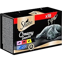 Hoe kies je het beste kattenvoer voor katten met speciale