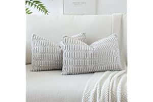 JOTOM Lot de 2 Housses de Coussins en Velours Côtelé Décoratif Canapé Taie d'oreiller Doux Decoration pour Maison Salon Chambre Canapé Décoration 30x50cm (Gris Clair)