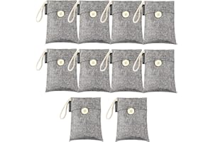 Fonday - Paquete de 10 bolsas desodorizantes de carbón de bambú (100 g cada una), eliminador de olores y absorbedor, purificador de aire para bolsa de gimnasio, zapatos, coche, armario de mascotas