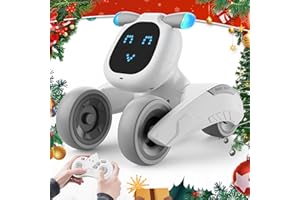 Dnenellr Robot Giocattolo Bambini, Robot Telecomandato per Bambini, Programmabile, Controllo Vocale (solo in inglese), Occhi LED, Interattivo Intelligente, Regalo per Bimbi 3 4 5 6 7 8 9 10 11 12 Anni