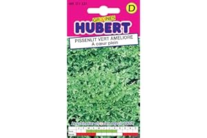 Graines de Pissenlit vert amélioré à coeur plein - 0.8 grammes