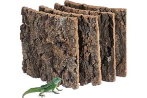 DOITOOL Corteccia di Sughero per rettili: 4 sfondi per terrario in Sughero, 15 x 15 cm, in Corteccia Naturale, Decorazione terrario rettili, Tappetino da Arrampicata Drago, Lucertola