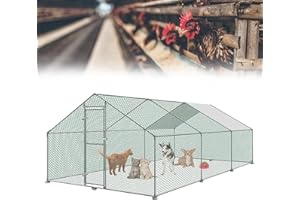 HENGMEI Pollaio 3 x 6 x 2 m gabbia per piccoli animali domestici in acciaio zincato con tetto in PE esterno con serratura pollaio