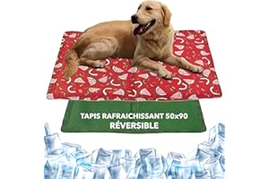 DONKID Tapis Rafraichissant Chien et Chat 50 x 90 cm - Tapis Auto-Refroidissant avec Gel Non-Toxique, Résistant Aux Rayures des Animaux Domestiques - Saveur d'Été et Vert - Taille L 50x90