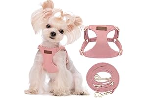 Puppytie Pettorina Cane Taglia Piccola con Guinzaglio per Cani - Morbida, Leggera, Regolabile, Senza Soffocamento, Antifuga, per Animali Domestici - Gilet per Cani - Rosa, XXS, 0.5-3 kg