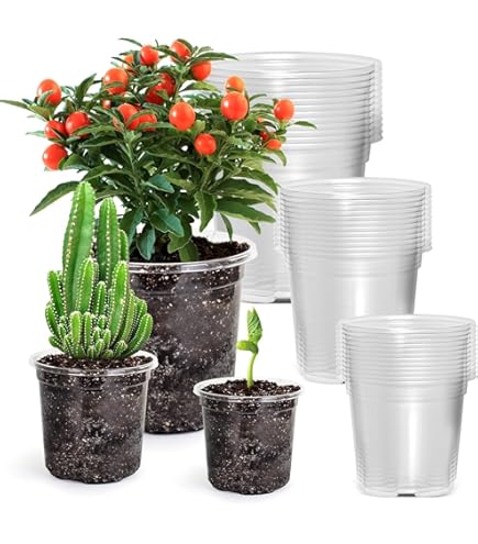 Fraise Dentaire En Zircone Ø6mm - Coupe Croisée - Longueur 12.5mm - Pour Laboratoire à Basse Vitesse - Wilson