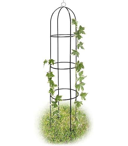 Supports De Plantes KADAX - Lot De 3 En Acier, Pour Roses Et Plantes Grimpantes