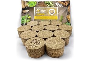 The Garden Gecko Invisible Pot feet for outdoor plant pots and flowers solid agglomerated cork, large-grain pot risers | 24 PACK | Cork