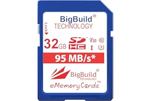 BigBuild Technology 32 Go UHS-I U3 95Mo/s Carte mémoire pour Panasonic Lumix DMC FT30, FT30EF A, FT30EF D, FT30EF K, FZ1000, FZ2000, FZ2500, FZ300, FZ72, FZ82, FZ82EBK Caméra