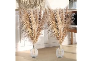 ‎PISKEKAT 12 Stück Real Pampasgras Trockenblumen Deko, 120CM Groß Pampasgras Getrocknet Blumenstrauß, Pampas Grass XXL für Bodenvase, Schilfblume Flauschige Pampas Deko für Hochzeit Boho Deko Heim Wohnzimmer