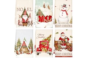 Woplagyreat Decorazioni Natalizie Addobbi Natalizi Natale Tavola Strofinacci Cucina Regali Christmas Canovacci Accessori spugna Asciugamani Regalo Casa Panno Pezze per Pulire