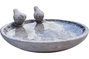Dio fågelbad för trädgården, fågelbad med 2 dekorativa fåglar för vilda fåglar, naturprodukt med rosenprydnader (Ø 24 cm) - ny, säker förpackning - inte frosttåligt