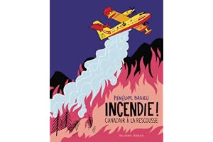 Incendie !: Canadairs à la rescousse