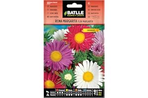 Semillas Batlle Reina Marg. FLOR MARGARITA