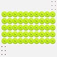 VAJR Pickleball Ball | V-40 | 50-Pack | 40 Precise Holes | True Flight | Authentic Bounce | Exceptional Durability | Light Green Color