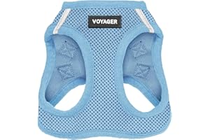 BEST PET SUPPLIES Voyager Step-In Air Dog Harness - All Weather Mesh, Reflective, No Pull Harness for Small, Medium Dogs, Cats - Secure with Hook & Loop Fastener, Buckle, Double D-Rings - Baby Blue, XXS