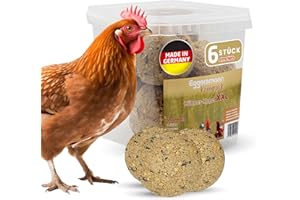 Eggersmann Körnerpick XXL Chicken Ball without Net Pack of 6 | Feeding Balls for Chickens | For Playful Activity | Nutrient-Rich Supplementary Food