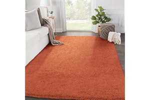 SOANNY Living Room Area Rug, Orange Luxury Soft Fluffy Shaggy Carpet for Bedroom Dorm Nursery Bedside Kids Room Lounge Office, Non-Slip, Washable Throw Rug for Home Decor, 120x170 cm